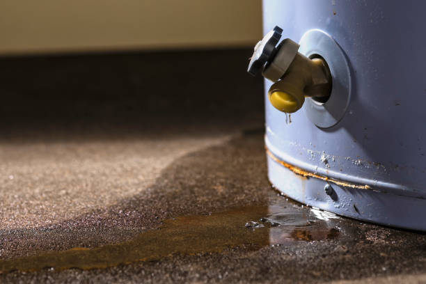 Best Local water damage restoration  in Fort Mitchell, KY