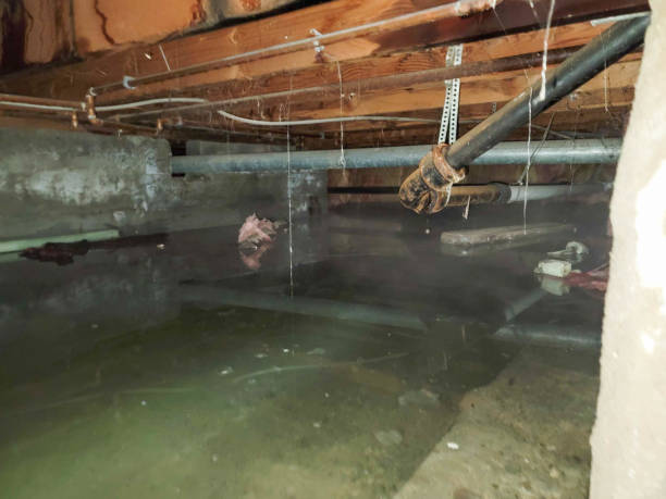 Best Emergency water damage restoration  in Fort Mitchell, KY
