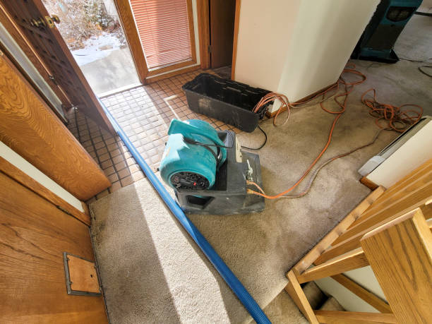 Best Carpet water damage restoration  in Fort Mitchell, KY