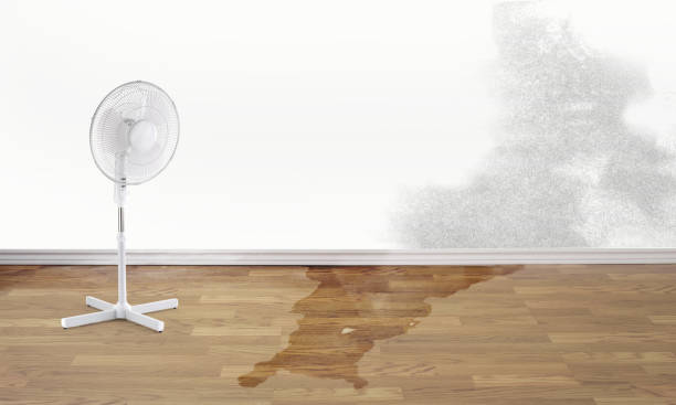 , KY Water damage restoration Company