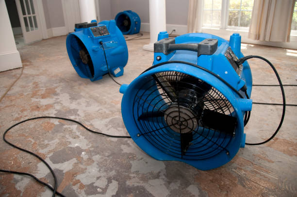 Best Water damage restoration experts  in Fort Mitchell, KY