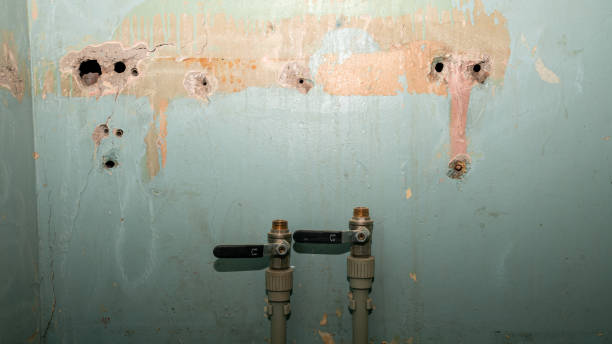 Best Water damage restoration specialists  in Fort Mitchell, KY
