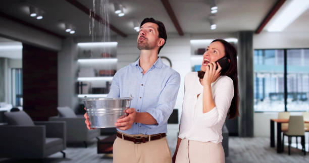 Best Professional water damage repair  in Fort Mitchell, KY